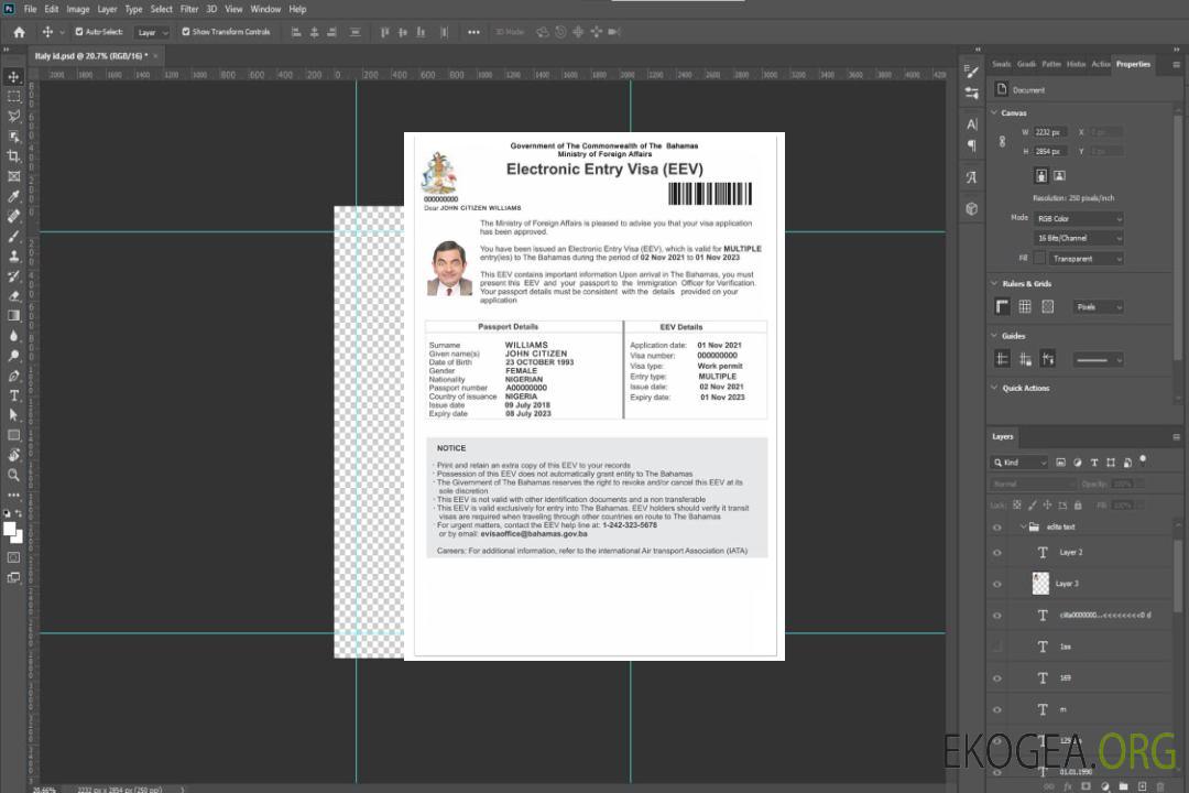 Visa électronique BAHAMAS template